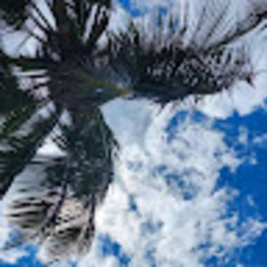 Meet your Posher, Charles antoine